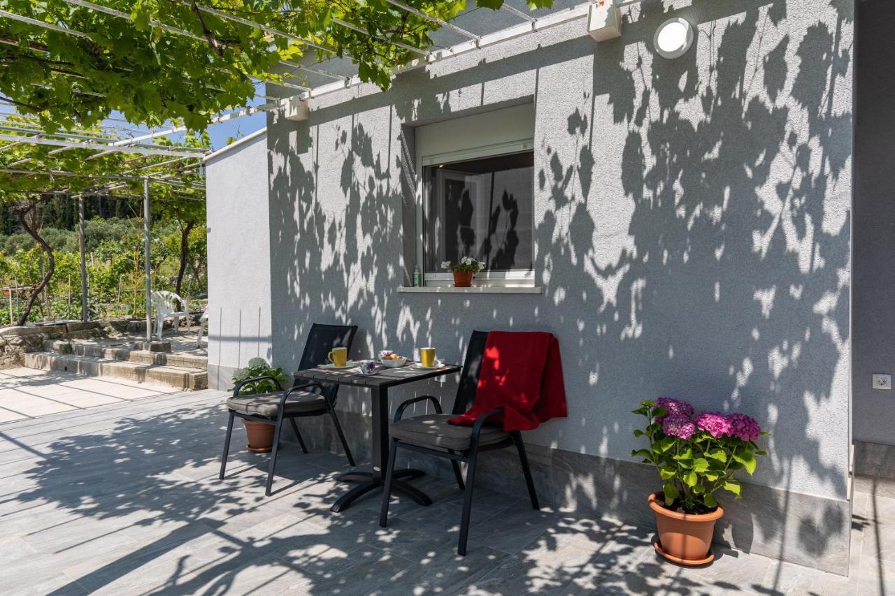 Apartments Roza Mlini Zewnętrze zdjęcie