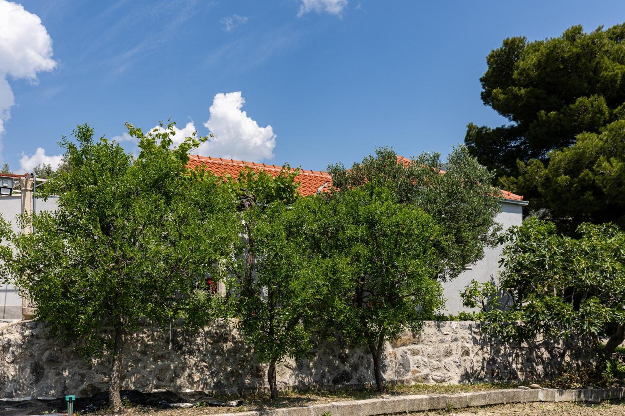 Apartments Roza Mlini Pokój zdjęcie